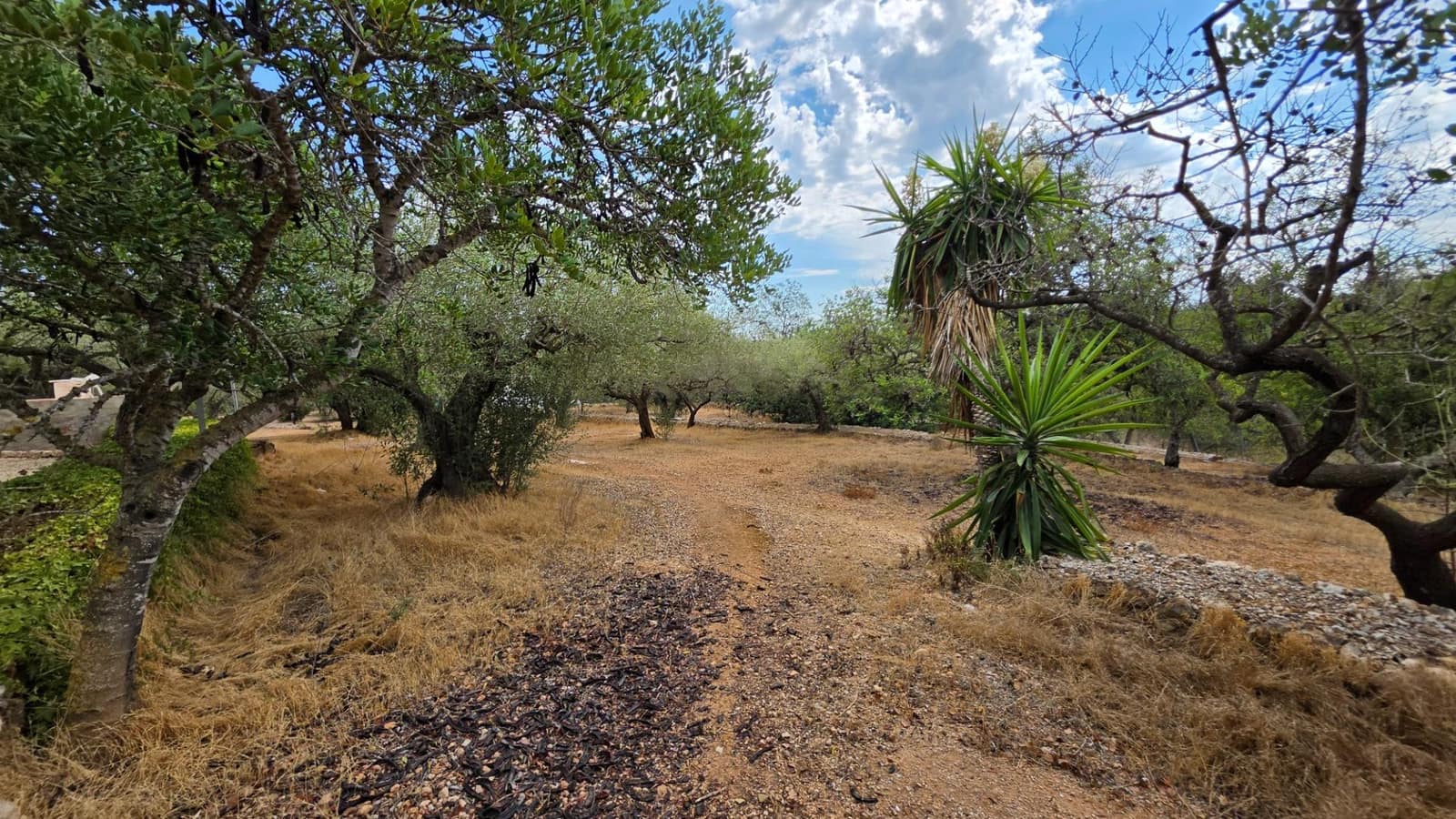 3 soverom Finca/Herregård til salgs i El Perello med svømmebasseng garasje - € 295 000 (Ref: 10094697)