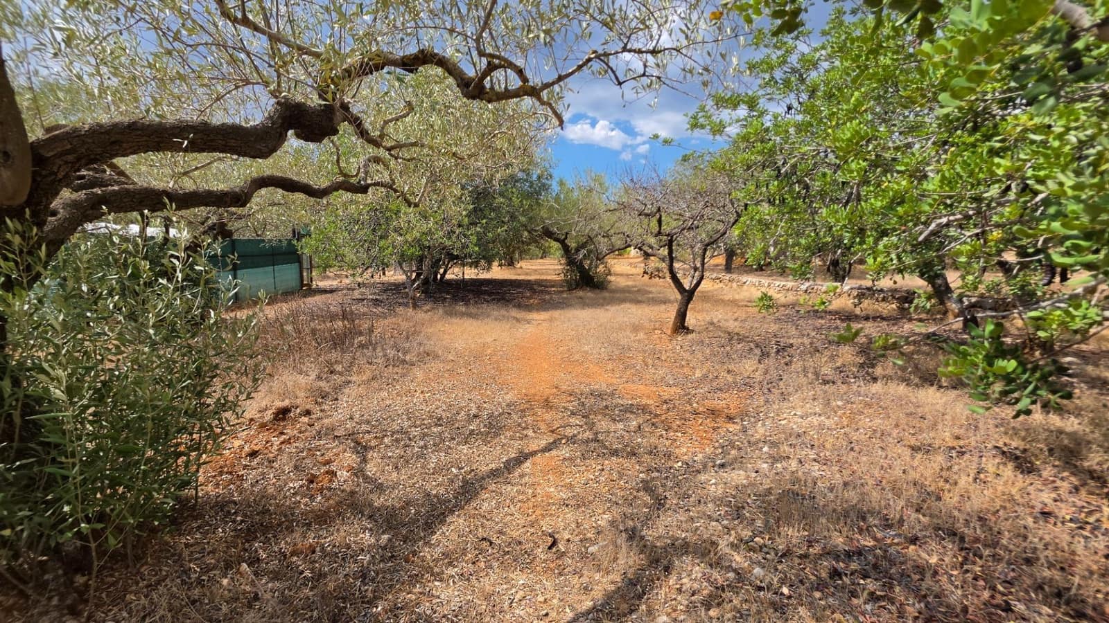 3 soverom Finca/Herregård til salgs i El Perello med svømmebasseng garasje - € 295 000 (Ref: 10094697)