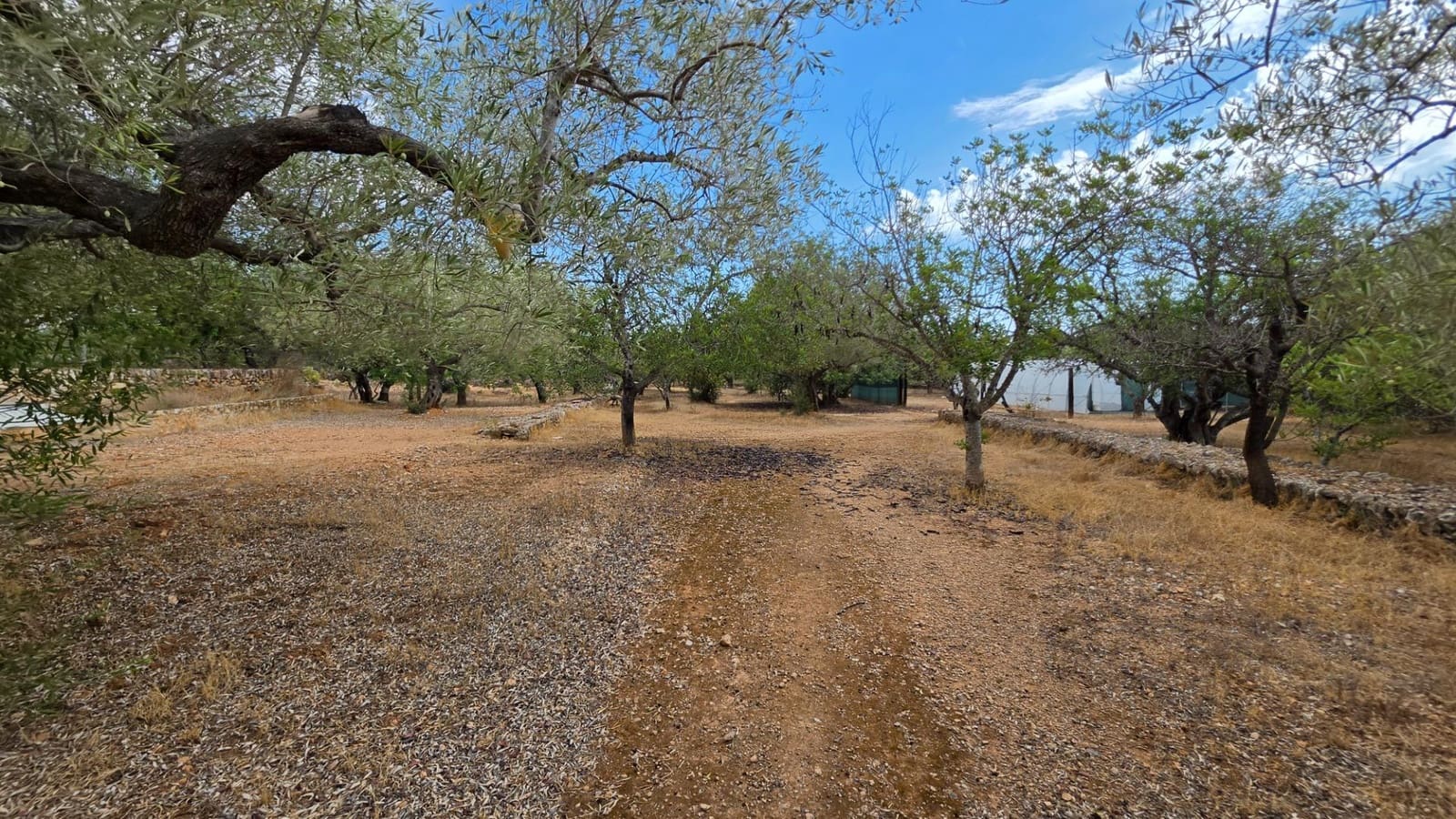 3 soverom Finca/Herregård til salgs i El Perello med svømmebasseng garasje - € 295 000 (Ref: 10094697)