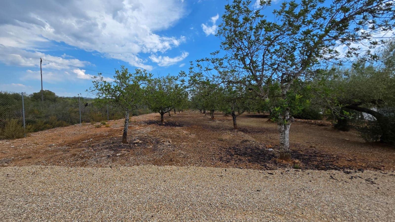 3 soverom Finca/Herregård til salgs i El Perello med svømmebasseng garasje - € 295 000 (Ref: 10094697)