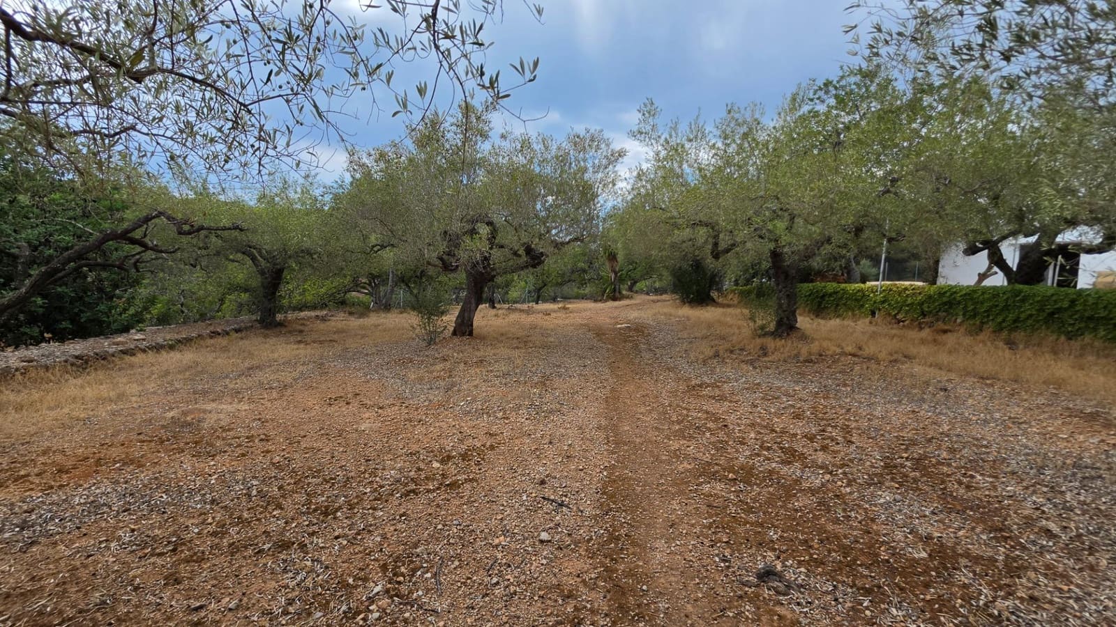 3 soverom Finca/Herregård til salgs i El Perello med svømmebasseng garasje - € 295 000 (Ref: 10094697)