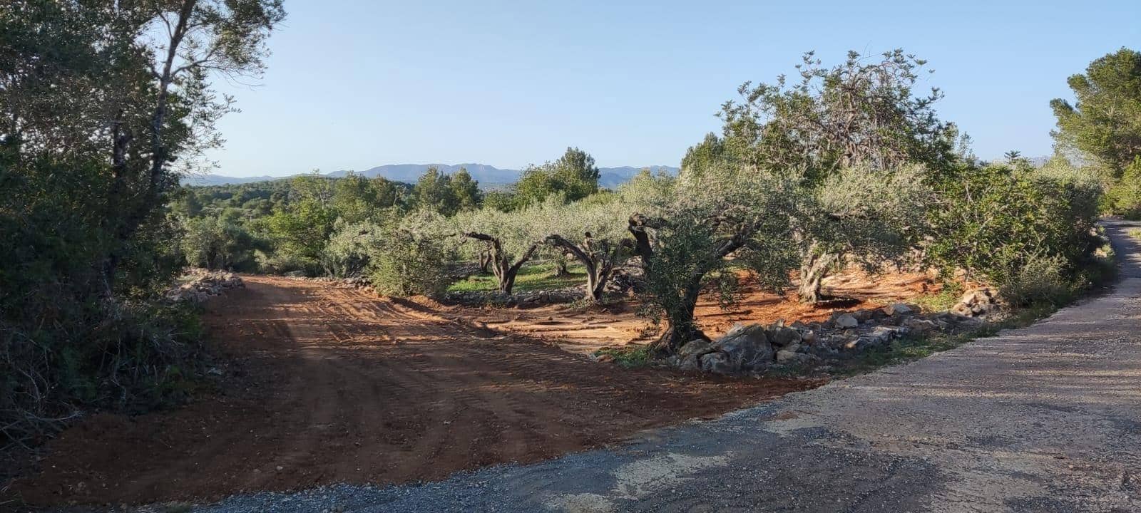 Finca/Landhuis te koop in L'Ametlla de Mar - € 53.000 (Ref: 10115892)