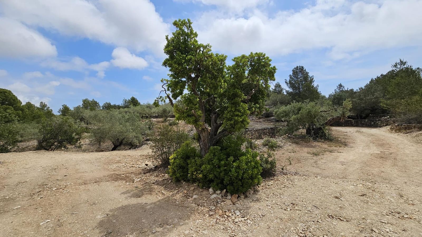 Finca/Landhuis te koop in L'Ametlla de Mar - € 53.000 (Ref: 10115892)