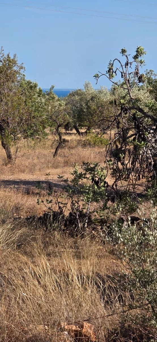 Finca/Landehus til salg i L'Ametlla de Mar - € 250.000 (Ref: 10157958)