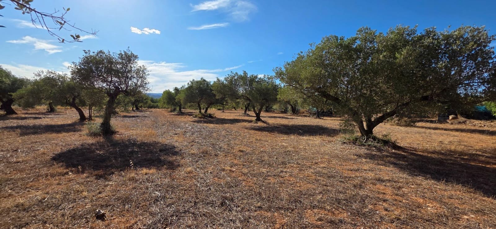 Finca/Landehus til salg i L'Ametlla de Mar - € 250.000 (Ref: 10157958)