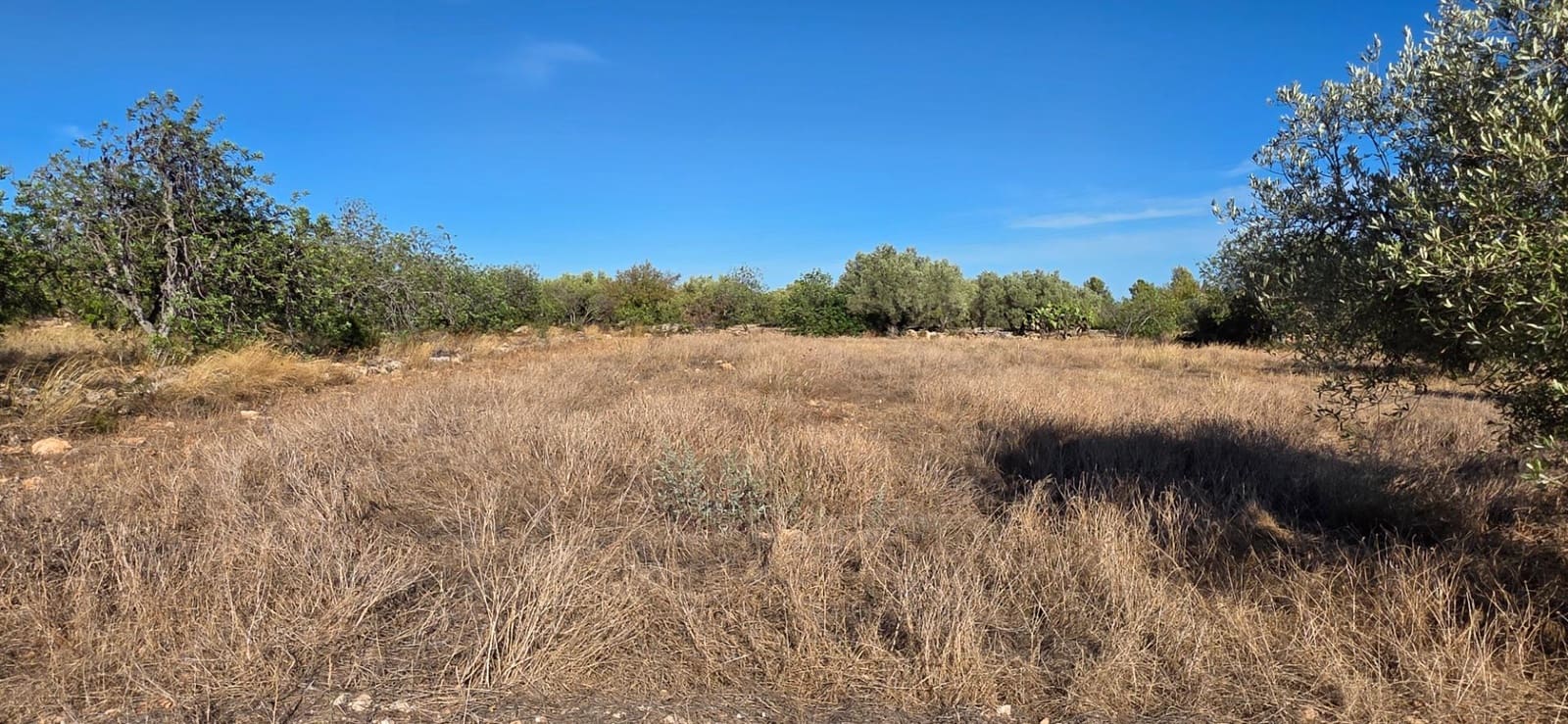 Finca/Landehus til salg i L'Ametlla de Mar - € 250.000 (Ref: 10157958)