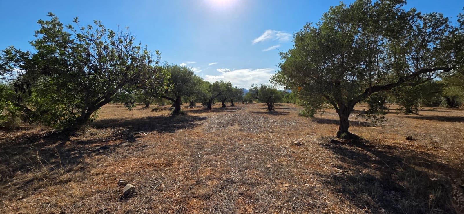 Finca/Landehus til salg i L'Ametlla de Mar - € 250.000 (Ref: 10157958)