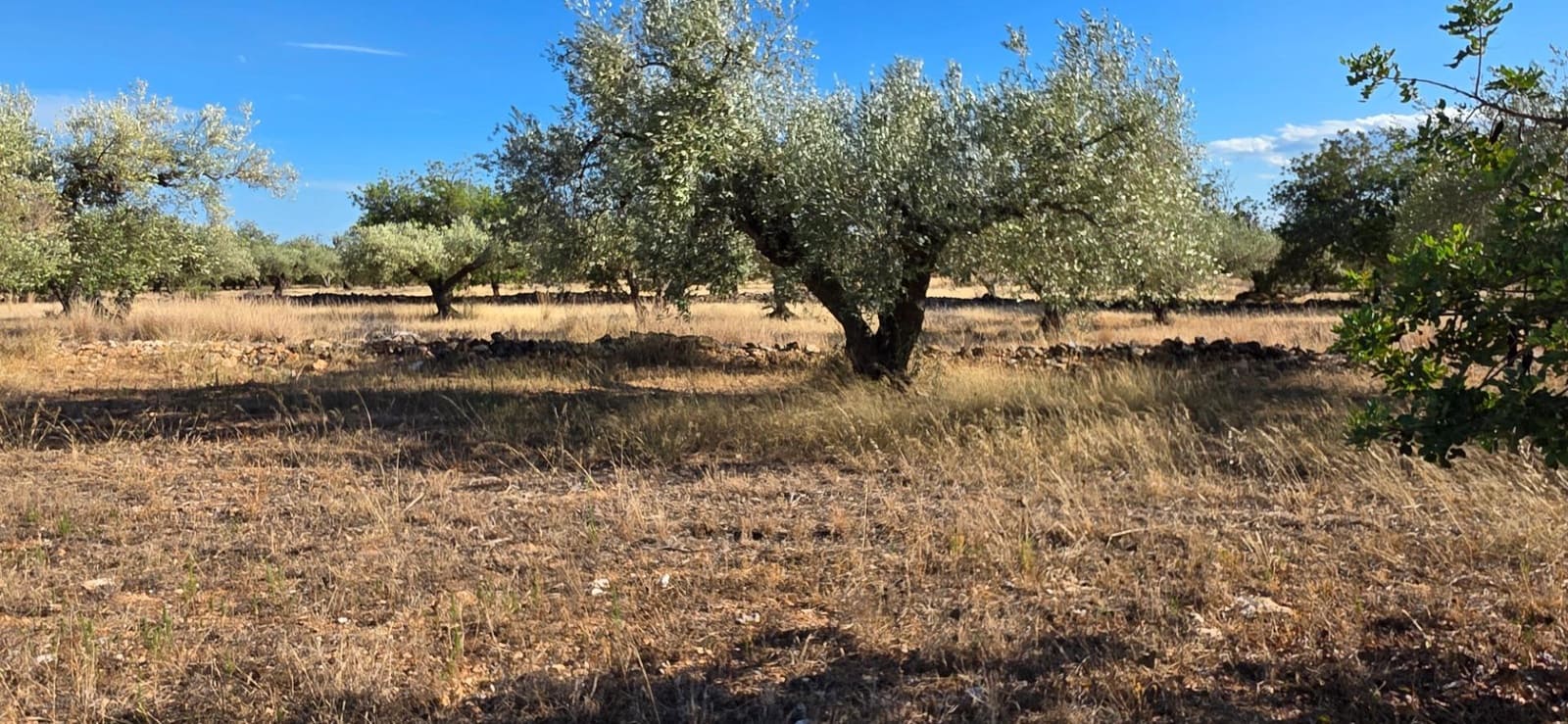 Finca/Landehus til salg i L'Ametlla de Mar - € 250.000 (Ref: 10157958)