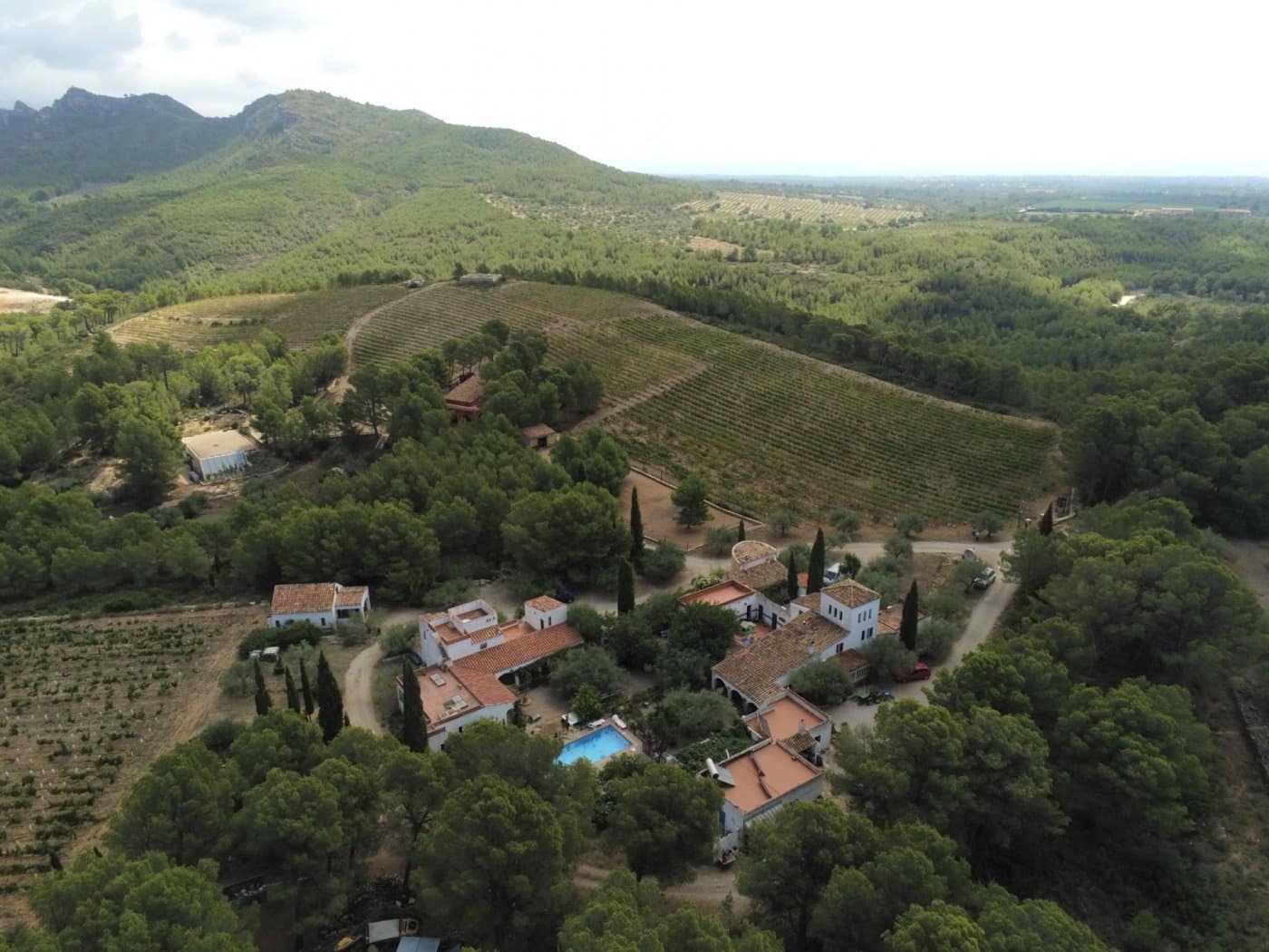 11 soveværelse Finca/Landehus til salg i Tivissa med swimmingpool - € 2.500.000 (Ref: 6586479)