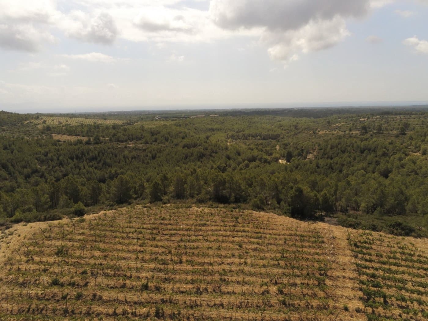 11 soveværelse Finca/Landehus til salg i Tivissa med swimmingpool - € 2.500.000 (Ref: 6586479)