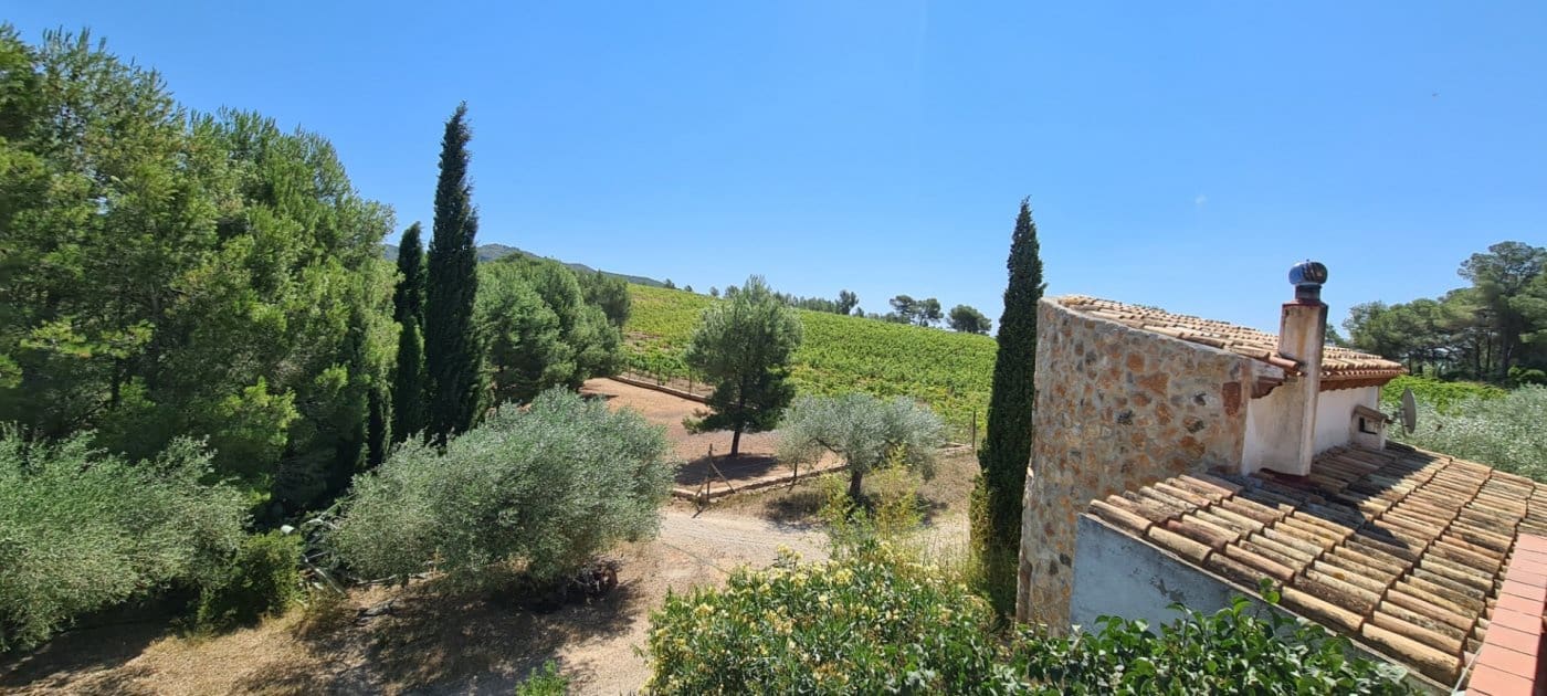 11 soveværelse Finca/Landehus til salg i Tivissa med swimmingpool - € 2.500.000 (Ref: 6586479)