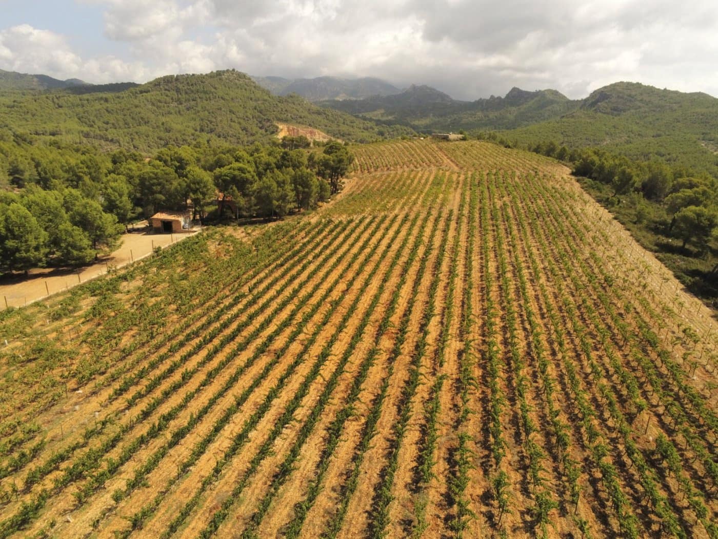 11 soveværelse Finca/Landehus til salg i Tivissa med swimmingpool - € 2.500.000 (Ref: 6586479)