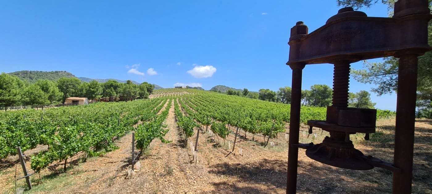 11 soveværelse Finca/Landehus til salg i Tivissa med swimmingpool - € 2.500.000 (Ref: 6586479)