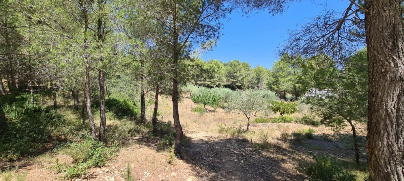 11 soveværelse Finca/Landehus til salg i Tivissa med swimmingpool - € 2.500.000 (Ref: 6586479)