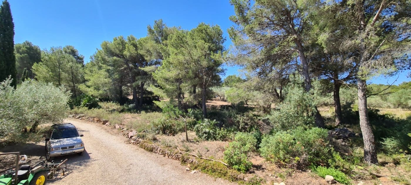 11 soveværelse Finca/Landehus til salg i Tivissa med swimmingpool - € 2.500.000 (Ref: 6586479)