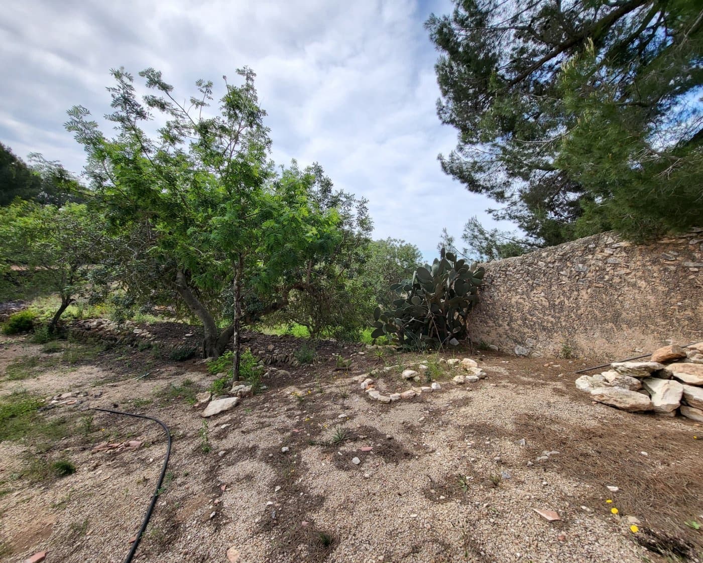 6 slaapkamer Finca/Landhuis te koop in L'Ametlla de Mar - € 375.000 (Ref: 6882304)