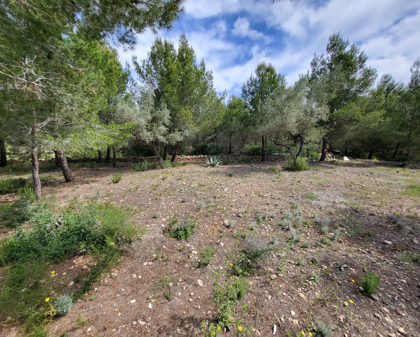 6 slaapkamer Finca/Landhuis te koop in L'Ametlla de Mar - € 375.000 (Ref: 6882304)