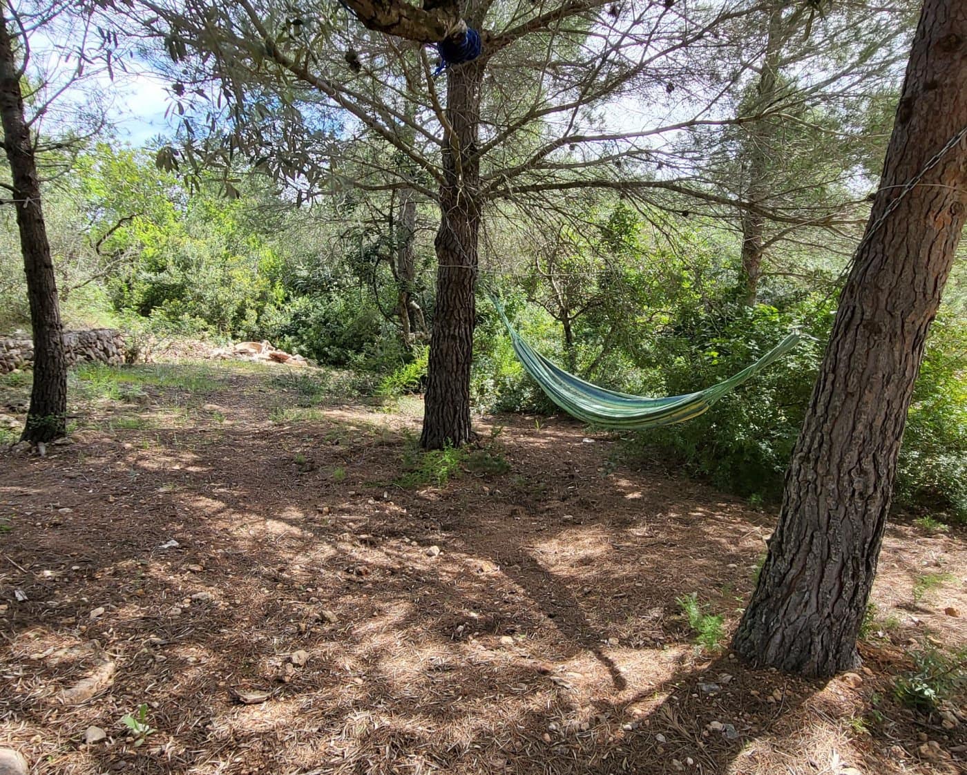 6 slaapkamer Finca/Landhuis te koop in L'Ametlla de Mar - € 375.000 (Ref: 6882304)