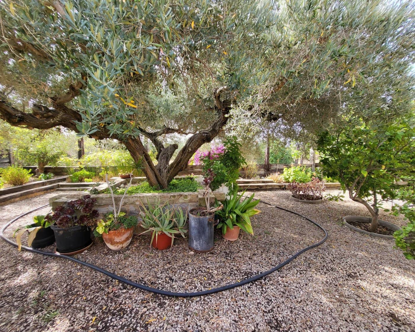 5 soveværelse Finca/Landehus til salg i L'Ametlla de Mar med swimmingpool - € 562.000 (Ref: 6962399)