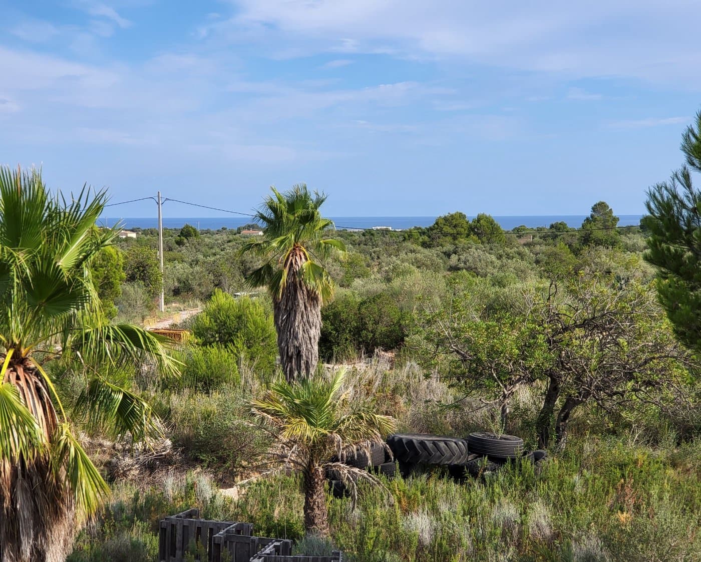 Finca/Hus på landet till salu i L'Ametlla de Mar - 250 000 € (Ref: 7149706)