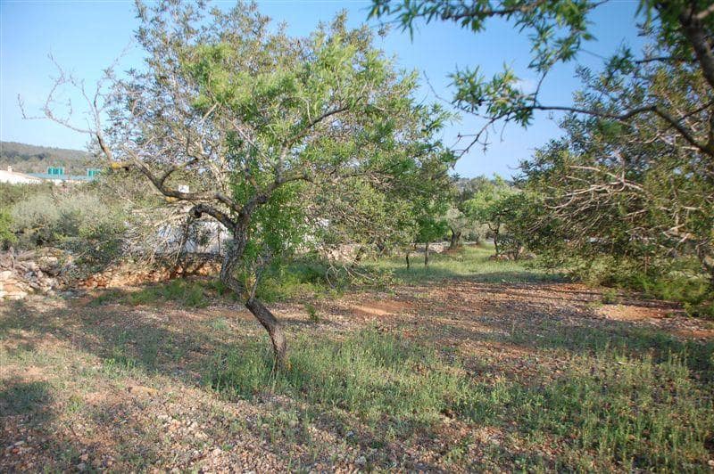 Finca/Herregård til salgs i El Perello - € 48 000 (Ref: 7253745)