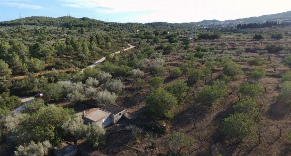 Finca/Herregård til salgs i El Perello - € 48 000 (Ref: 7253745)