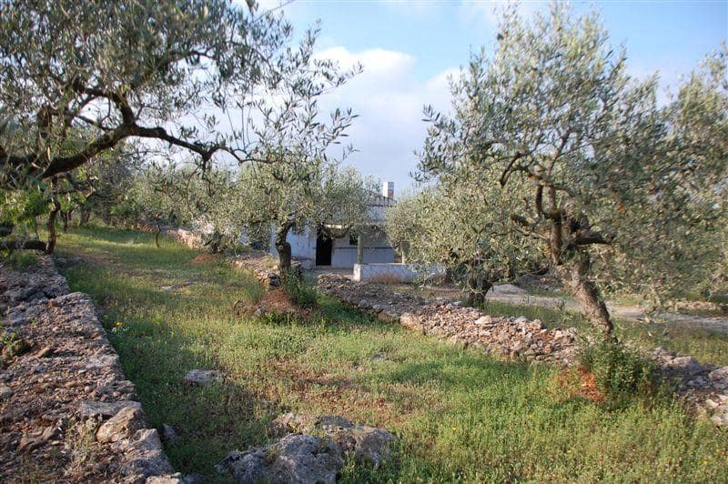 Finca/Herregård til salgs i El Perello - € 48 000 (Ref: 7253745)