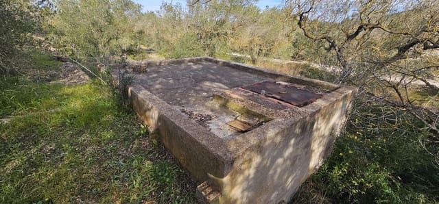 Finca/Herregård til salgs i El Perelló - € 48 000 (Ref: 7253745)