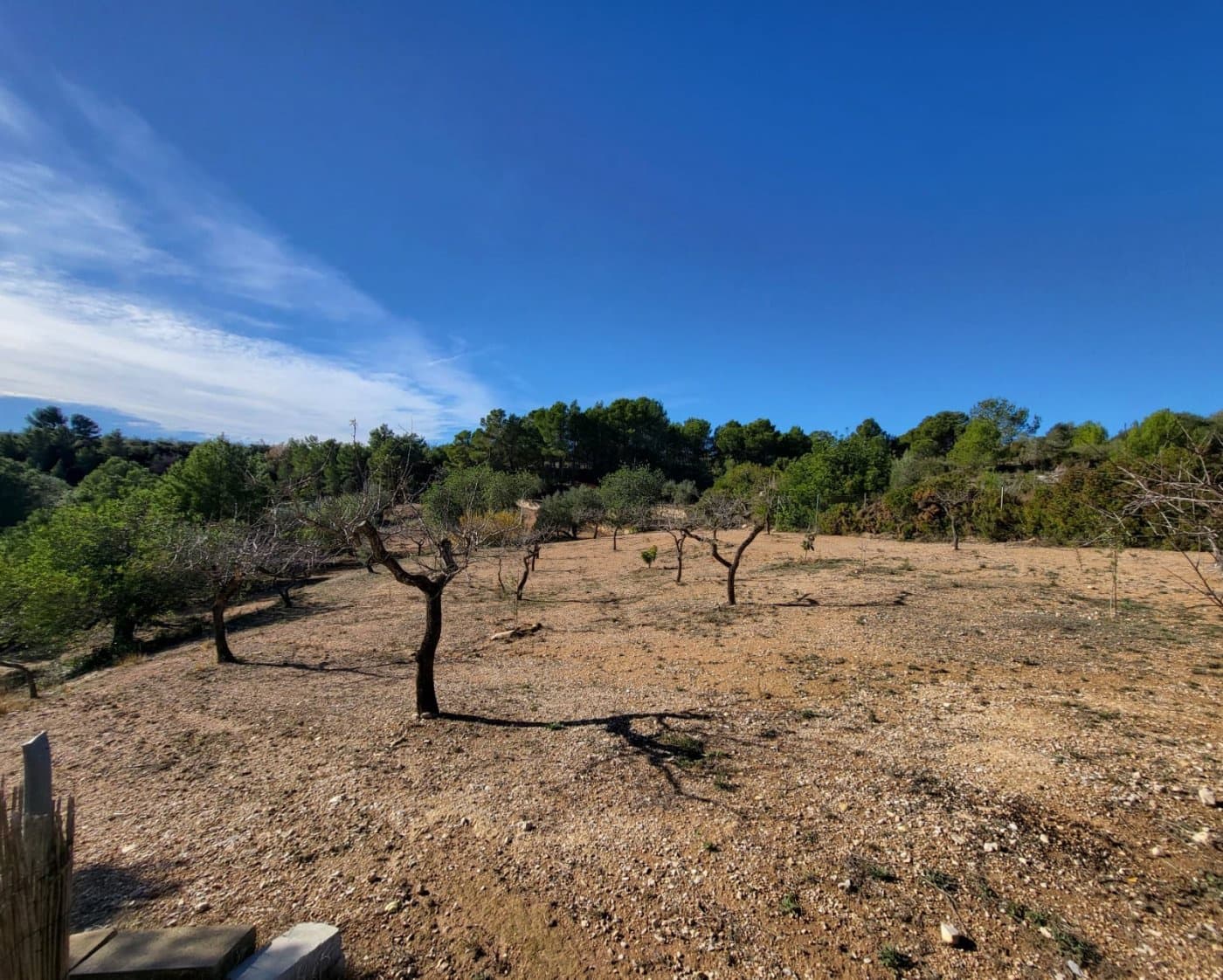 2 bedroom Finca/Country House for sale in L'Ametlla de Mar € 95,000