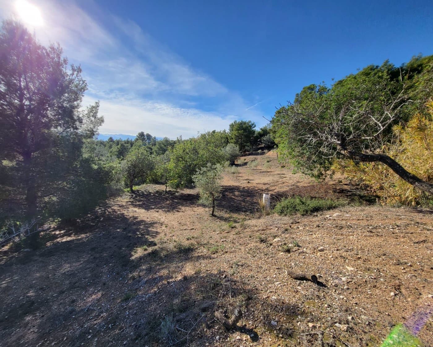 2 bedroom Finca/Country House for sale in L'Ametlla de Mar € 95,000