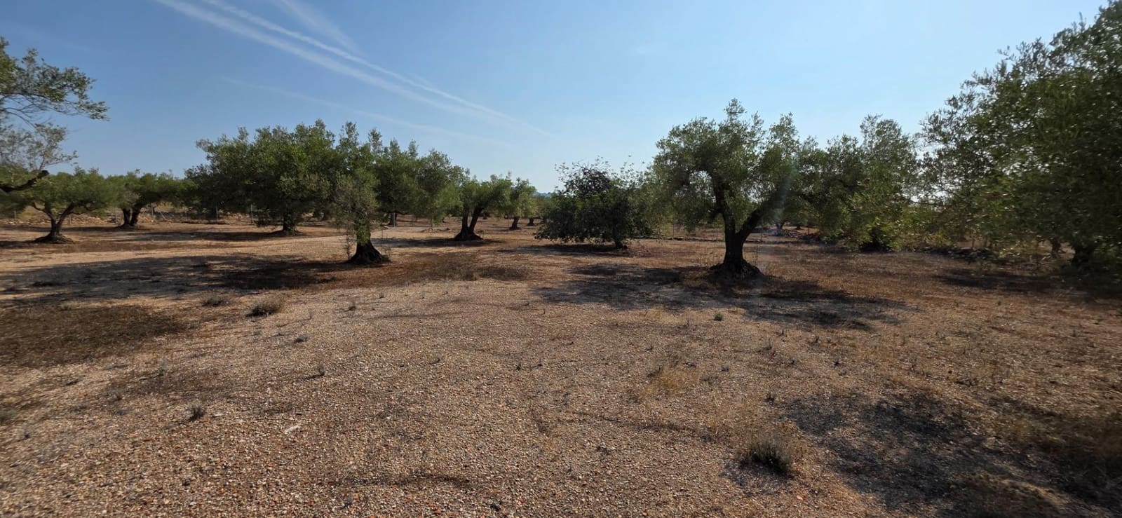 5 camera da letto Finca/Casa di Campagna in vendita in L'Ametlla de Mar - 269.000 € (Rif: 7478878)