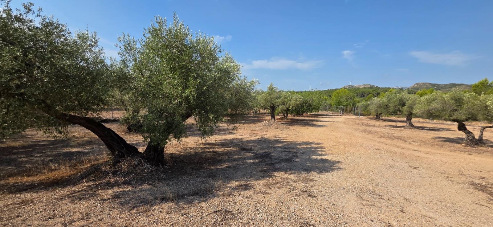 5 camera da letto Finca/Casa di Campagna in vendita in L'Ametlla de Mar - 269.000 € (Rif: 7478878)