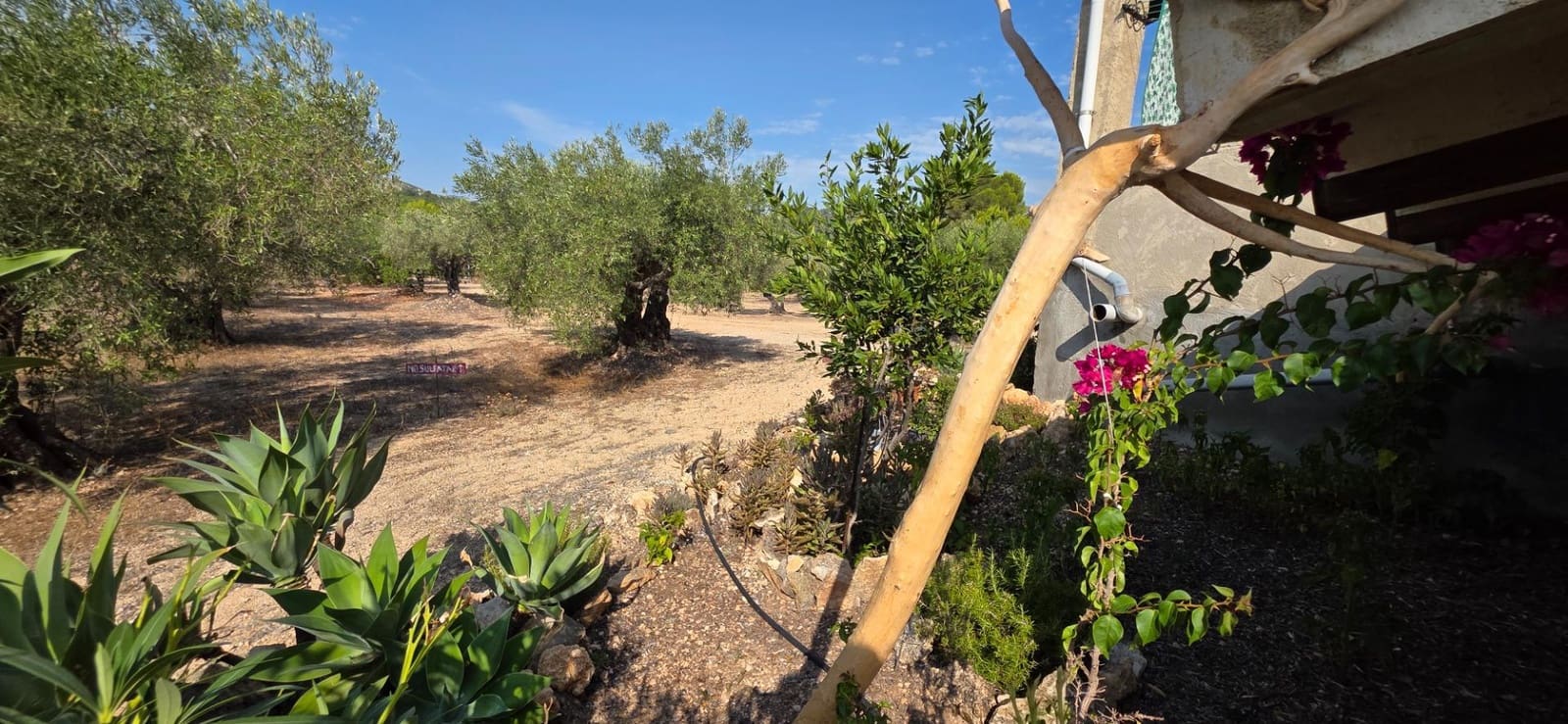 5 camera da letto Finca/Casa di Campagna in vendita in L'Ametlla de Mar - 269.000 € (Rif: 7478878)