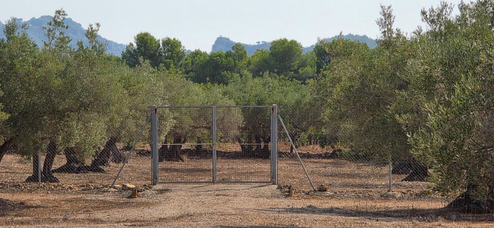 5 camera da letto Finca/Casa di Campagna in vendita in L'Ametlla de Mar - 269.000 € (Rif: 7478878)