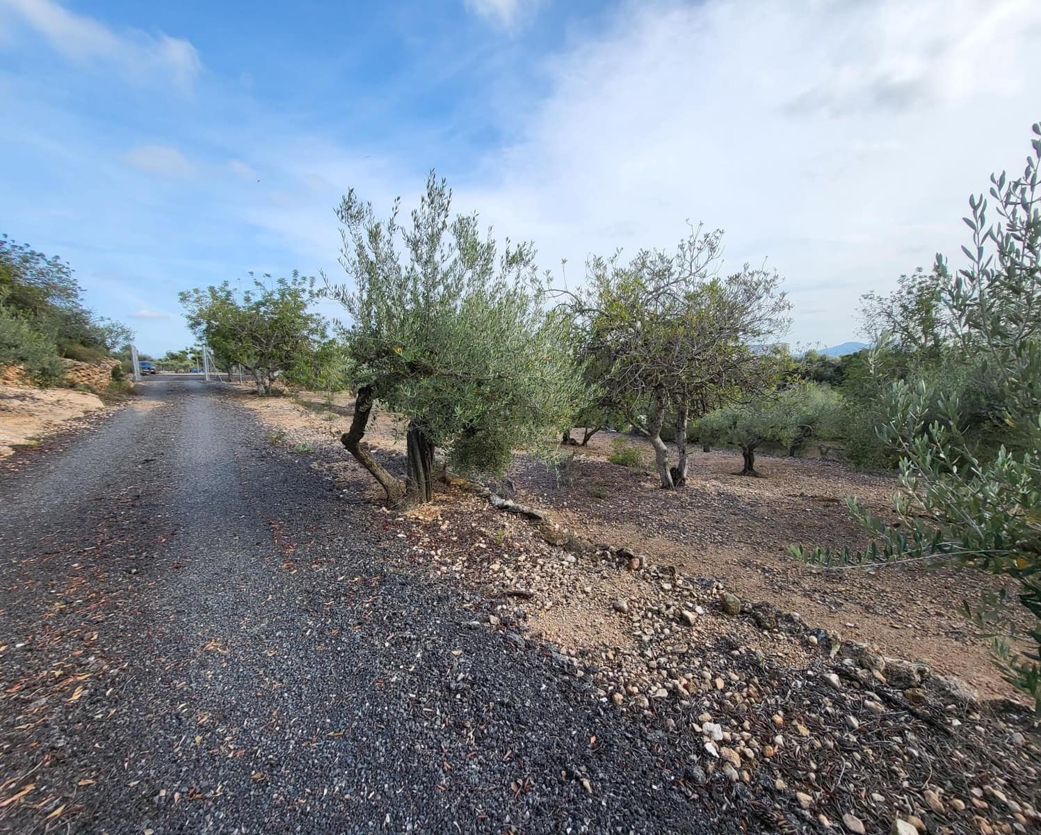 2 soveværelse Finca/Landehus til salg i L'Ampolla med swimmingpool - € 240.000 (Ref: 7629248)