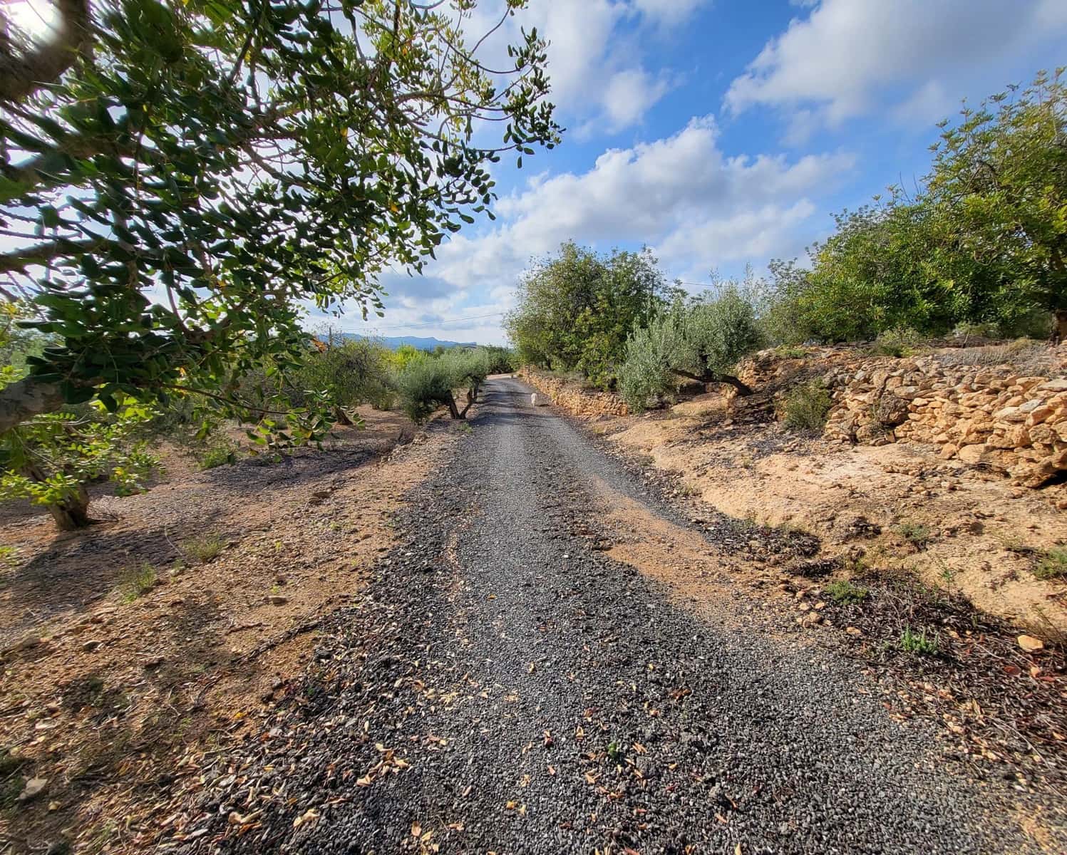 2 soveværelse Finca/Landehus til salg i L'Ampolla med swimmingpool - € 240.000 (Ref: 7629248)