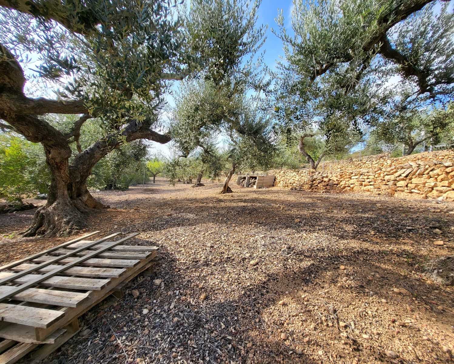 2 soveværelse Finca/Landehus til salg i L'Ampolla med swimmingpool - € 240.000 (Ref: 7629248)