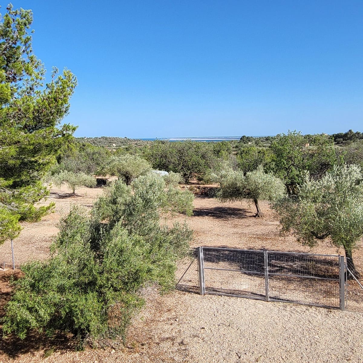 2 soveværelse Finca/Landehus til salg i El Perello med swimmingpool - € 115.000 (Ref: 7717857)