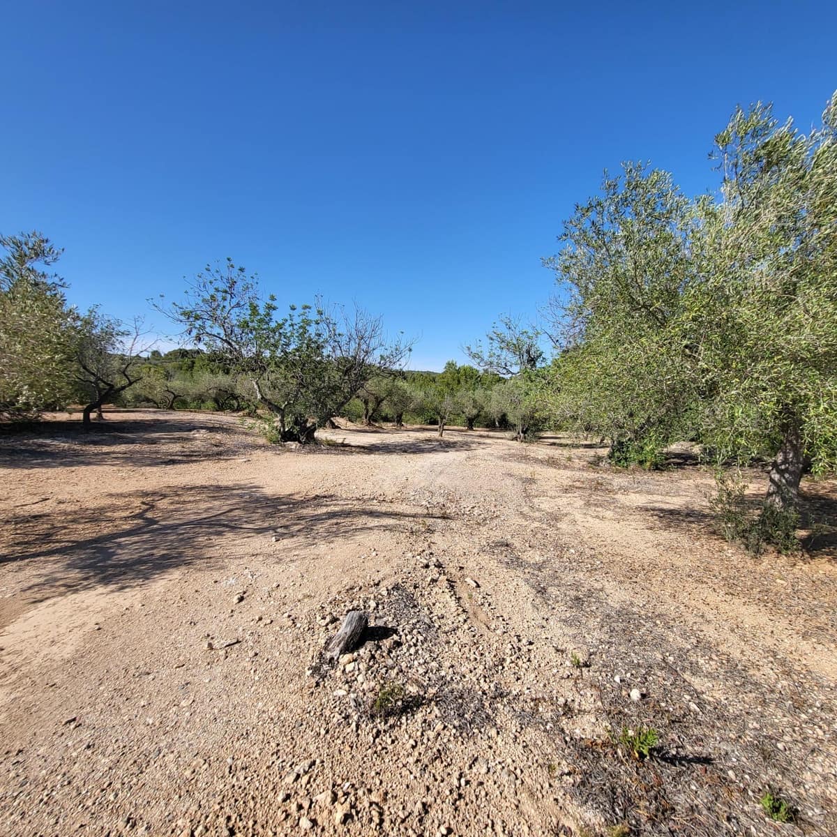 2 soveværelse Finca/Landehus til salg i El Perello med swimmingpool - € 115.000 (Ref: 7717857)