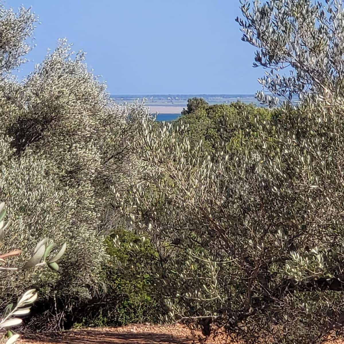 2 soveværelse Finca/Landehus til salg i El Perello med swimmingpool - € 115.000 (Ref: 7717857)