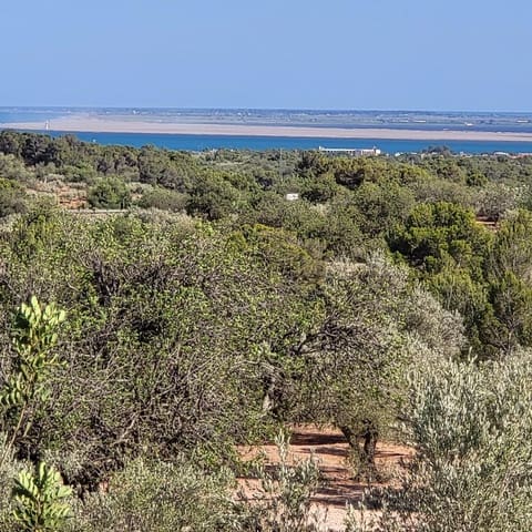 2 camera da letto Finca/Casa di Campagna in vendita in El Perelló con piscina - 115.000 € (Rif: 7717857)