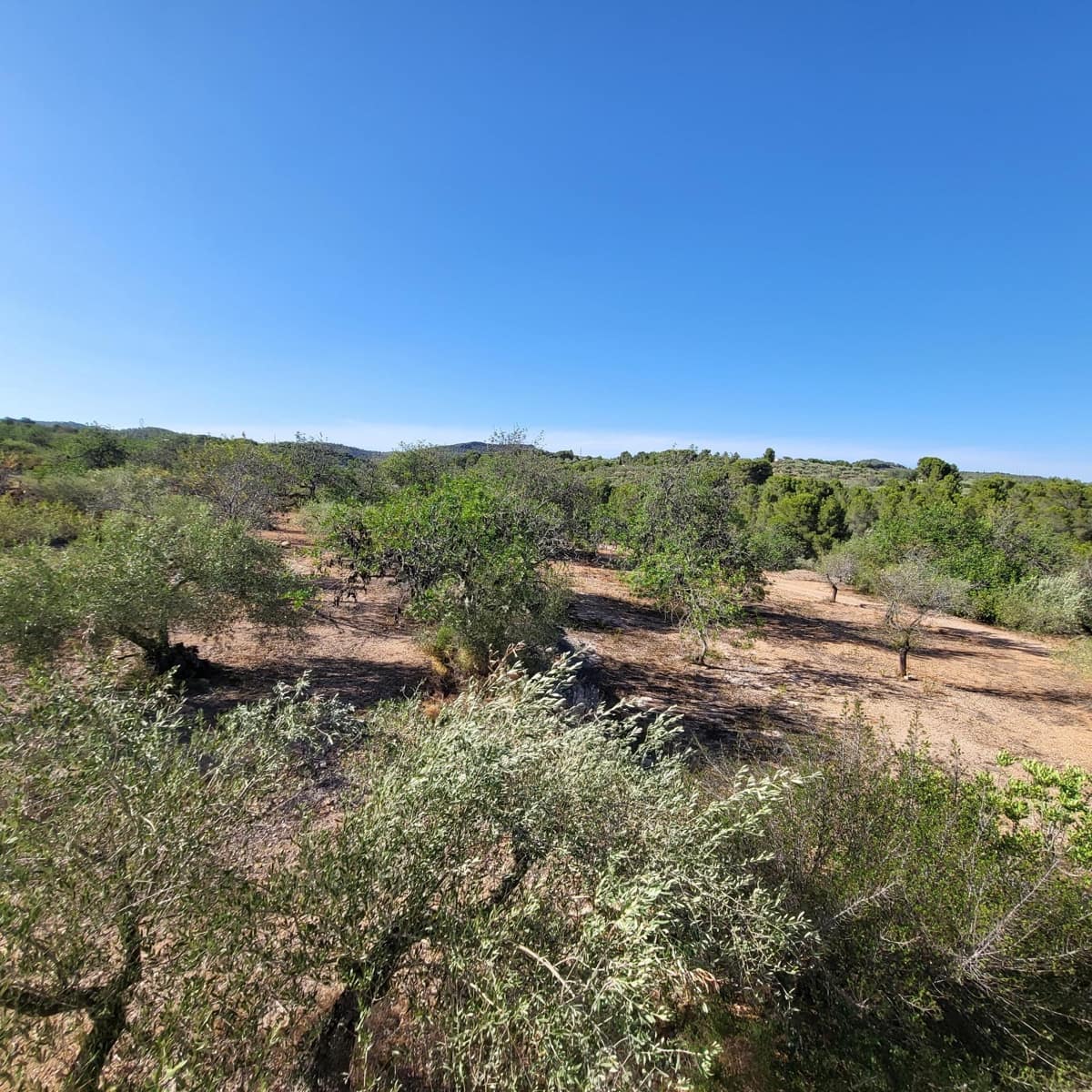 2 soveværelse Finca/Landehus til salg i El Perello med swimmingpool - € 115.000 (Ref: 7717857)