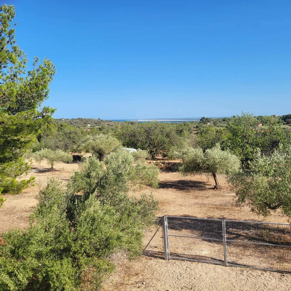 2 soveværelse Finca/Landehus til salg i El Perello med swimmingpool - € 115.000 (Ref: 7717857)