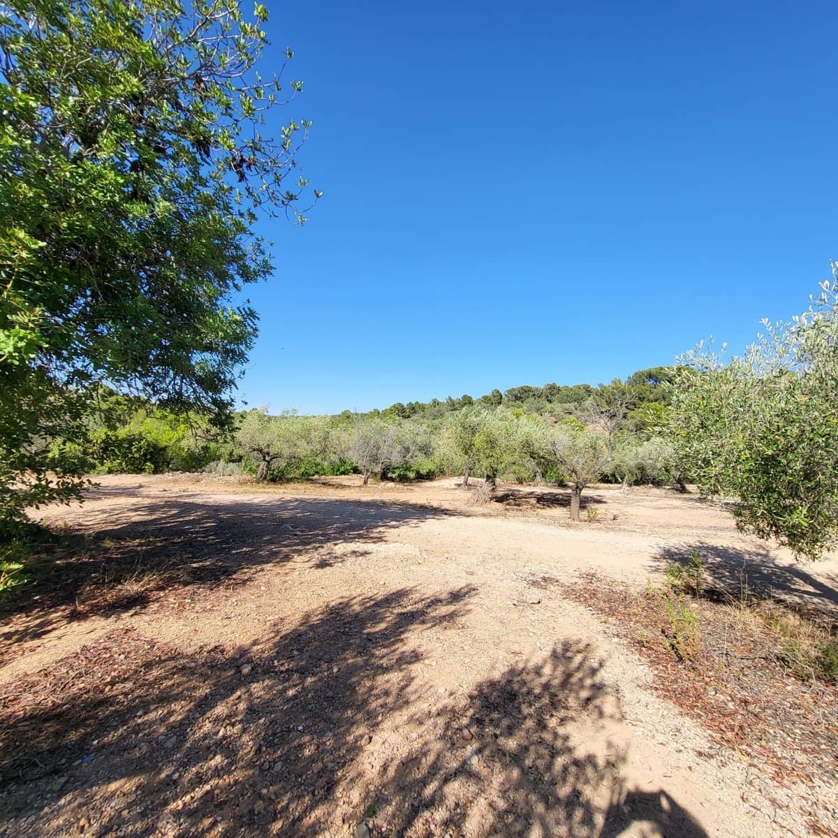 2 soveværelse Finca/Landehus til salg i El Perello med swimmingpool - € 115.000 (Ref: 7717857)