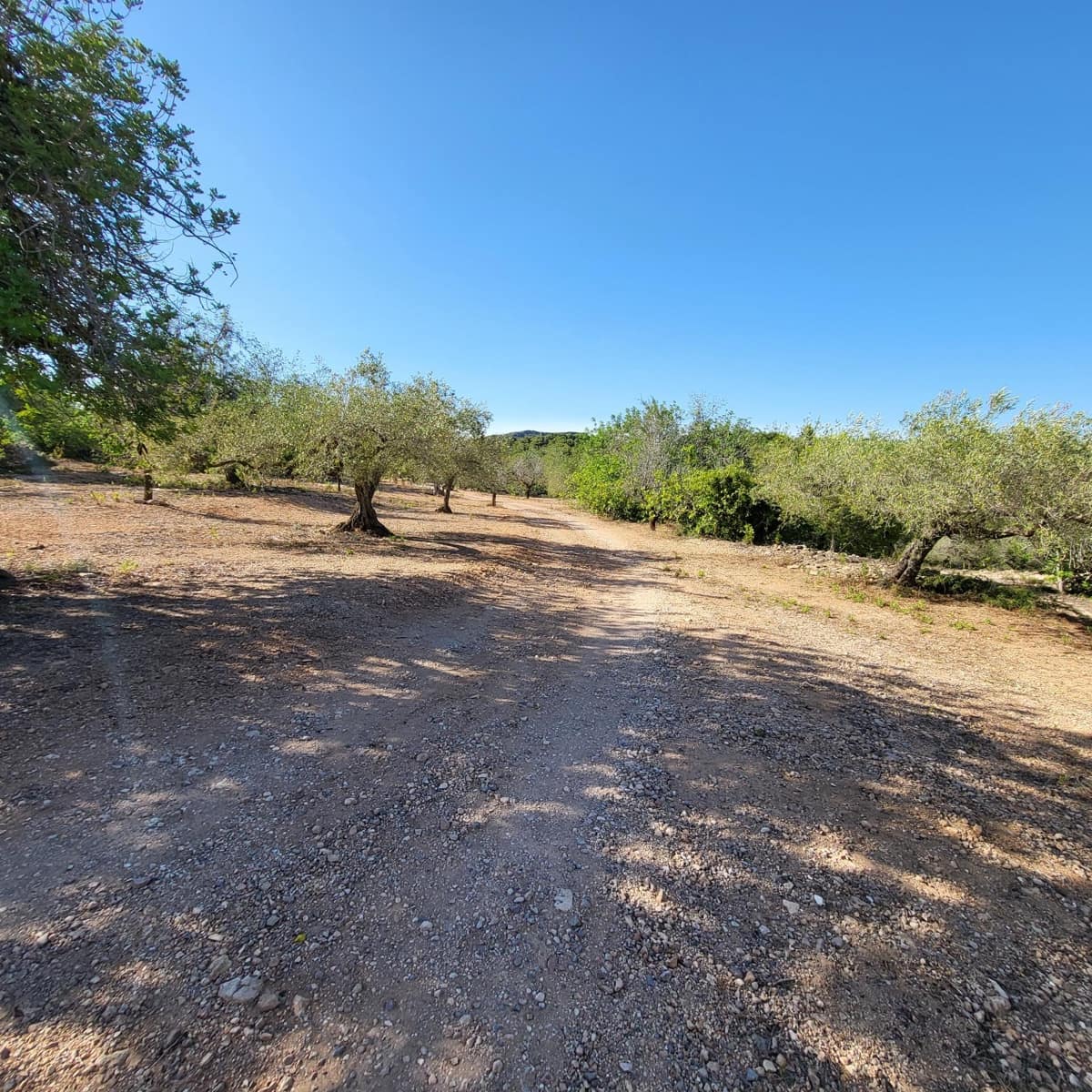 2 soveværelse Finca/Landehus til salg i El Perello med swimmingpool - € 115.000 (Ref: 7717857)