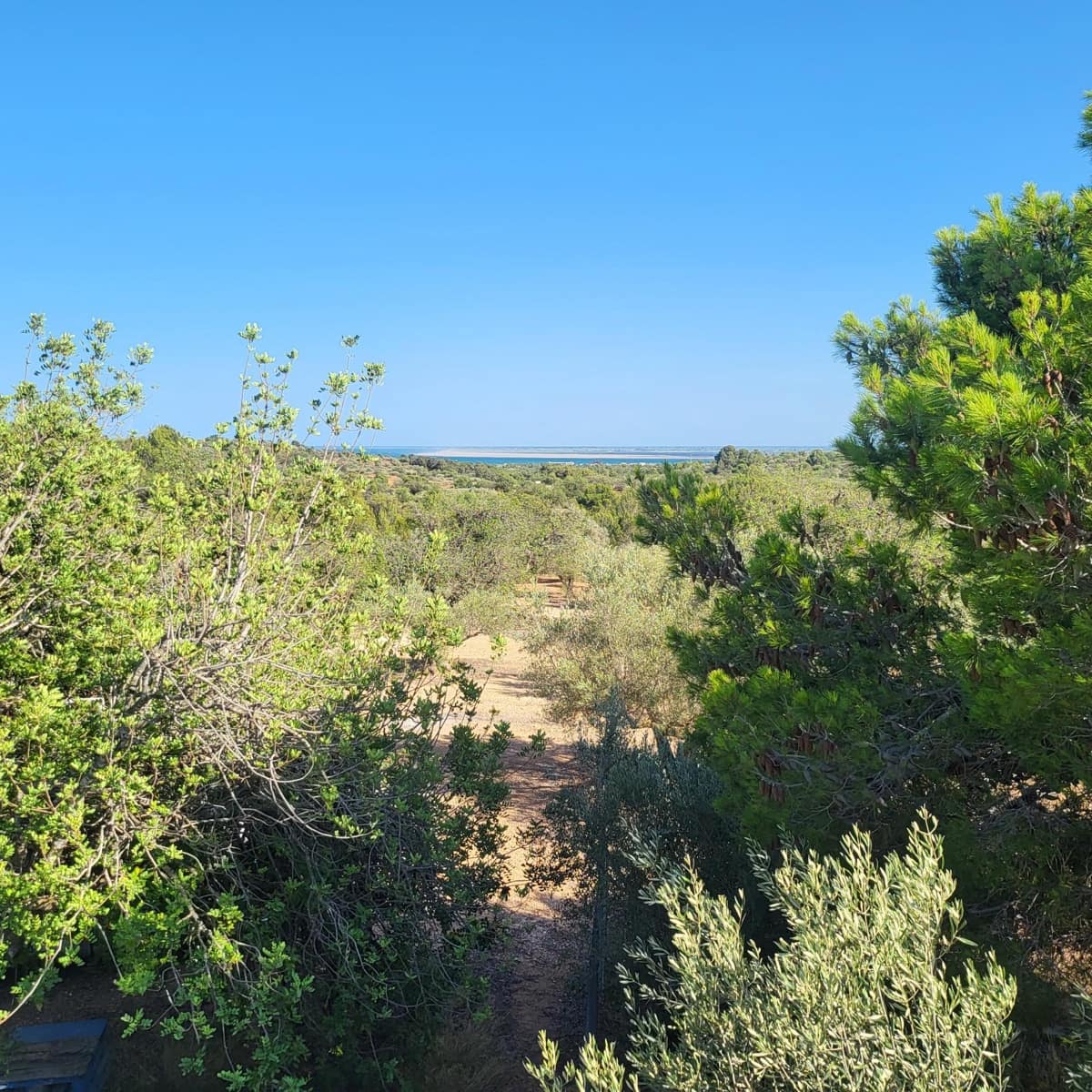 2 soveværelse Finca/Landehus til salg i El Perello med swimmingpool - € 115.000 (Ref: 7717857)