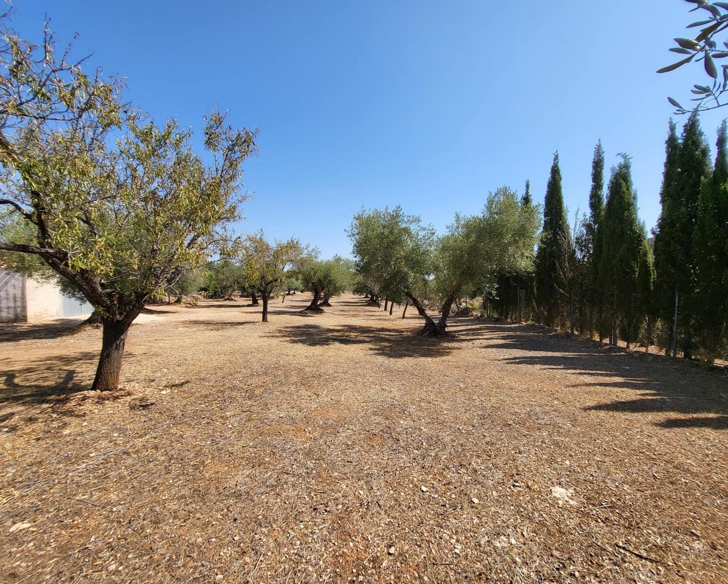 4 soveværelse Finca/Landehus til salg i L'Ametlla de Mar - € 339.000 (Ref: 7749188)