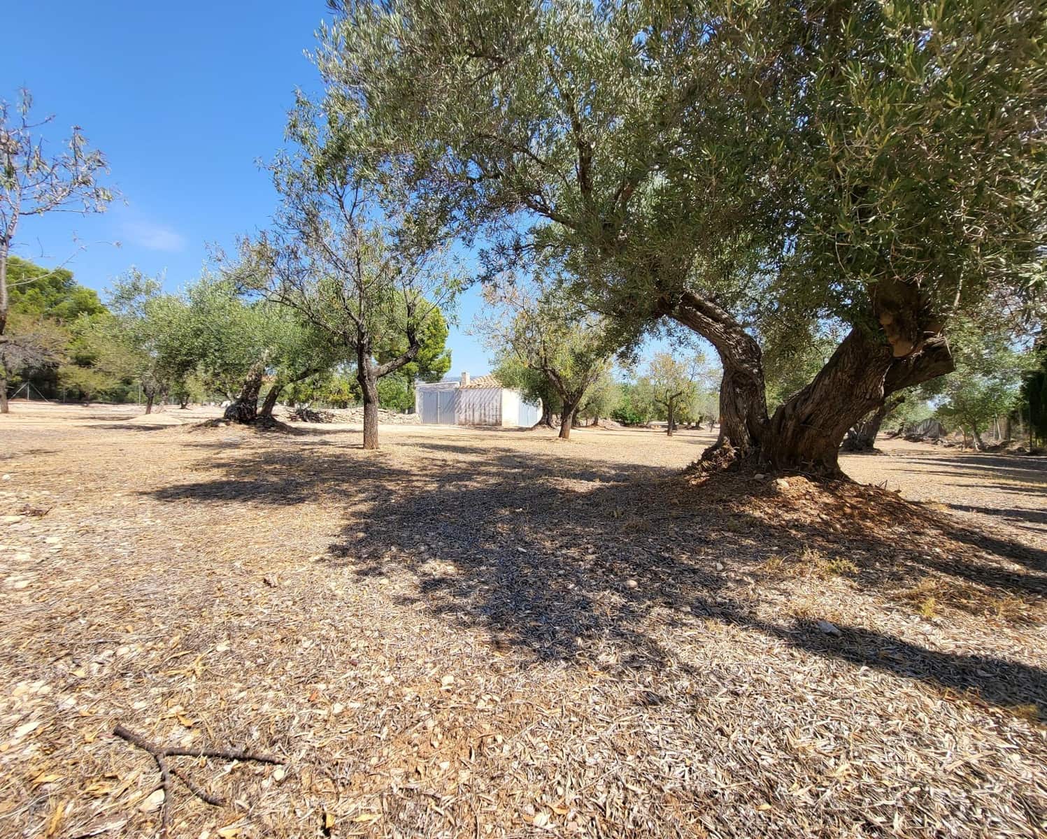 4 soveværelse Finca/Landehus til salg i L'Ametlla de Mar - € 339.000 (Ref: 7749188)