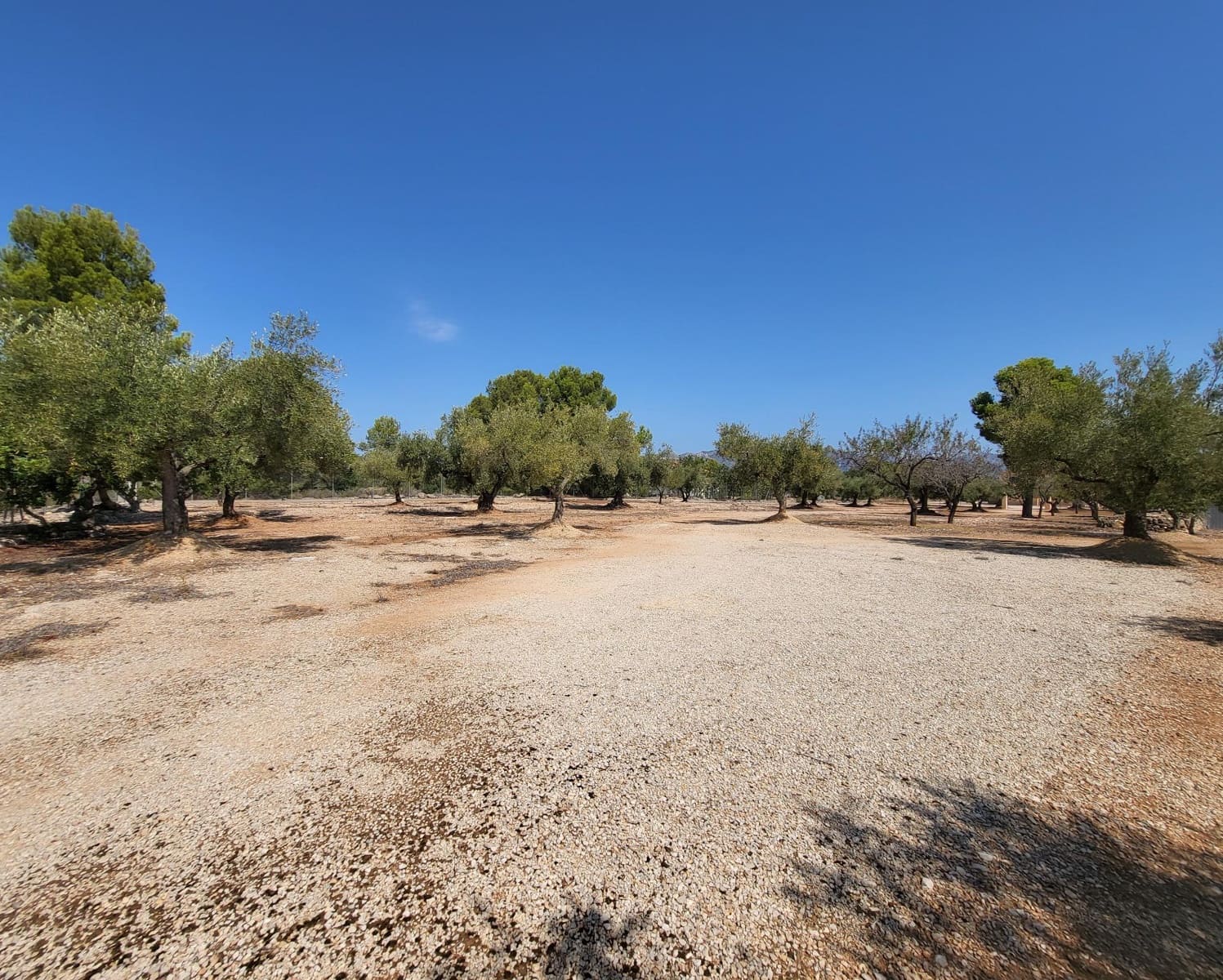 4 soveværelse Finca/Landehus til salg i L'Ametlla de Mar - € 339.000 (Ref: 7749188)