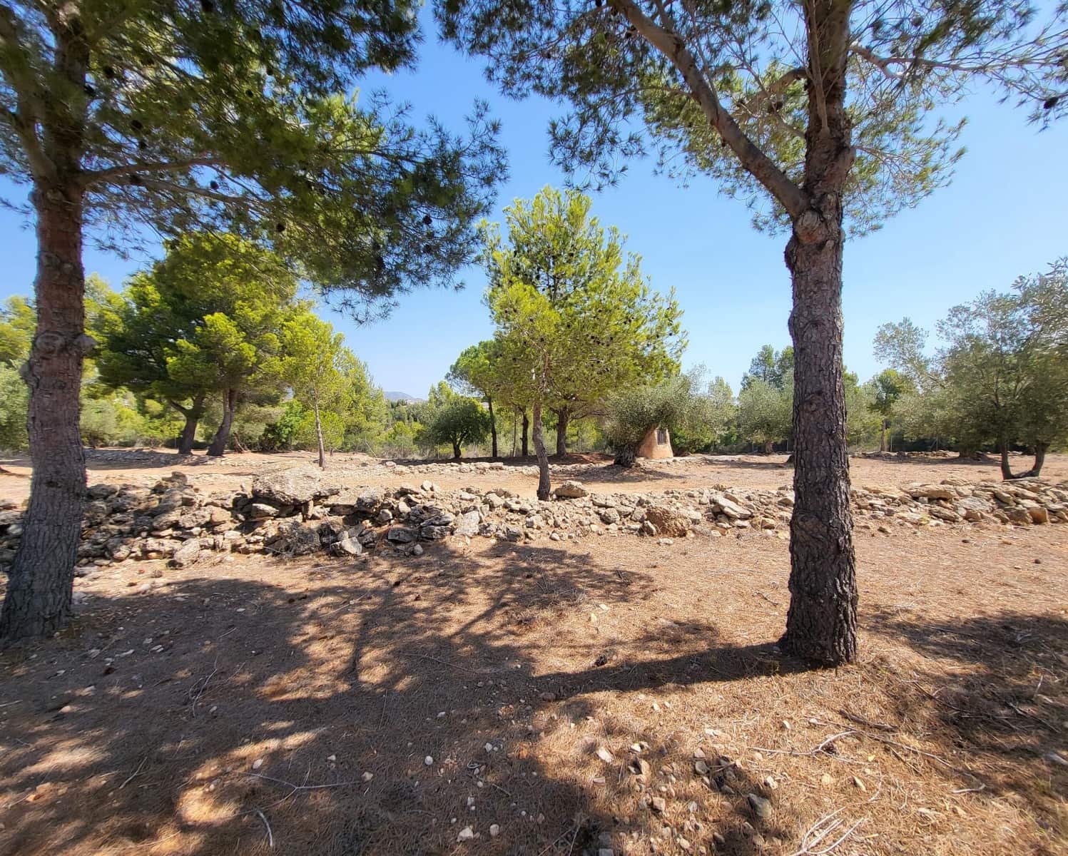 4 soveværelse Finca/Landehus til salg i L'Ametlla de Mar - € 339.000 (Ref: 7749188)